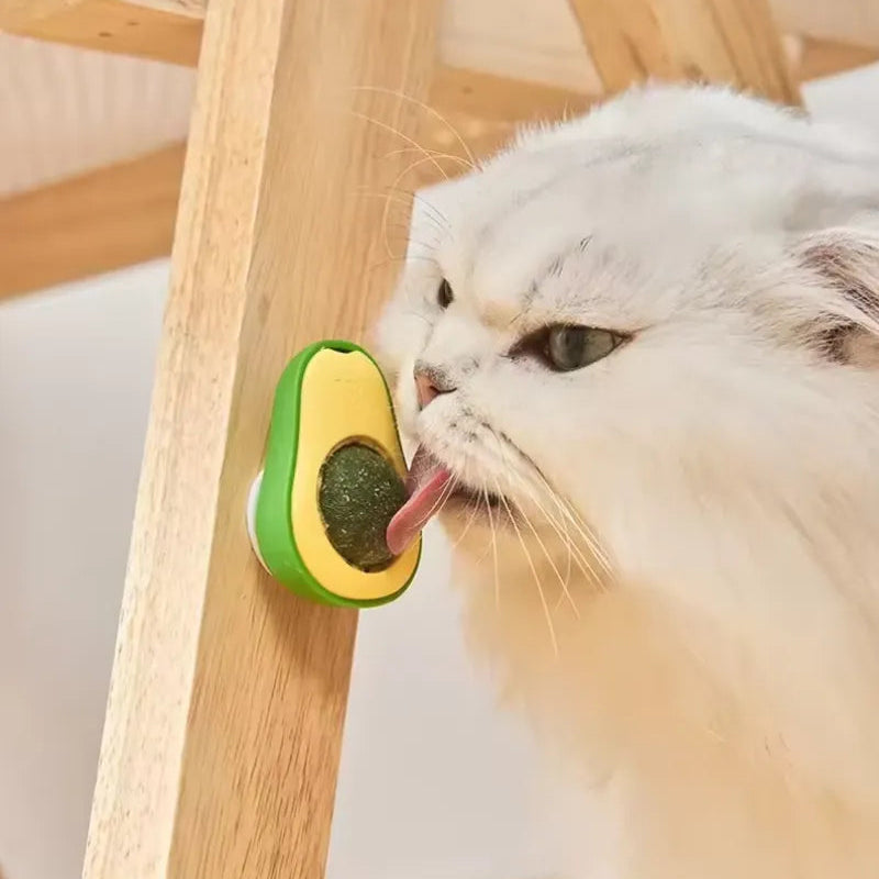 Catnip para Gatos en Forma de Aguacate con Adhesivo – Juguete Interactivo